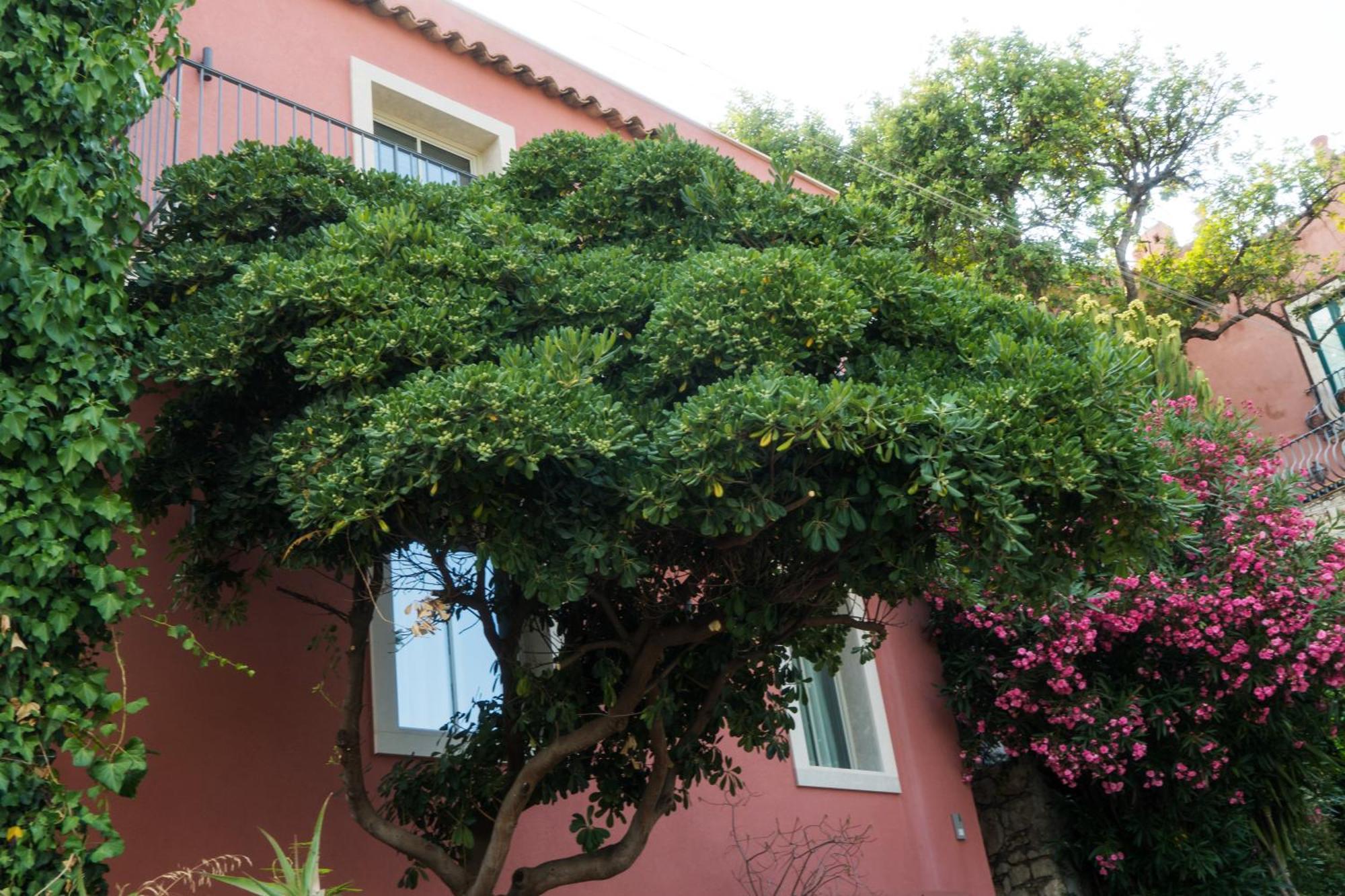 דירות טאורמינה The Charming House מראה חיצוני תמונה