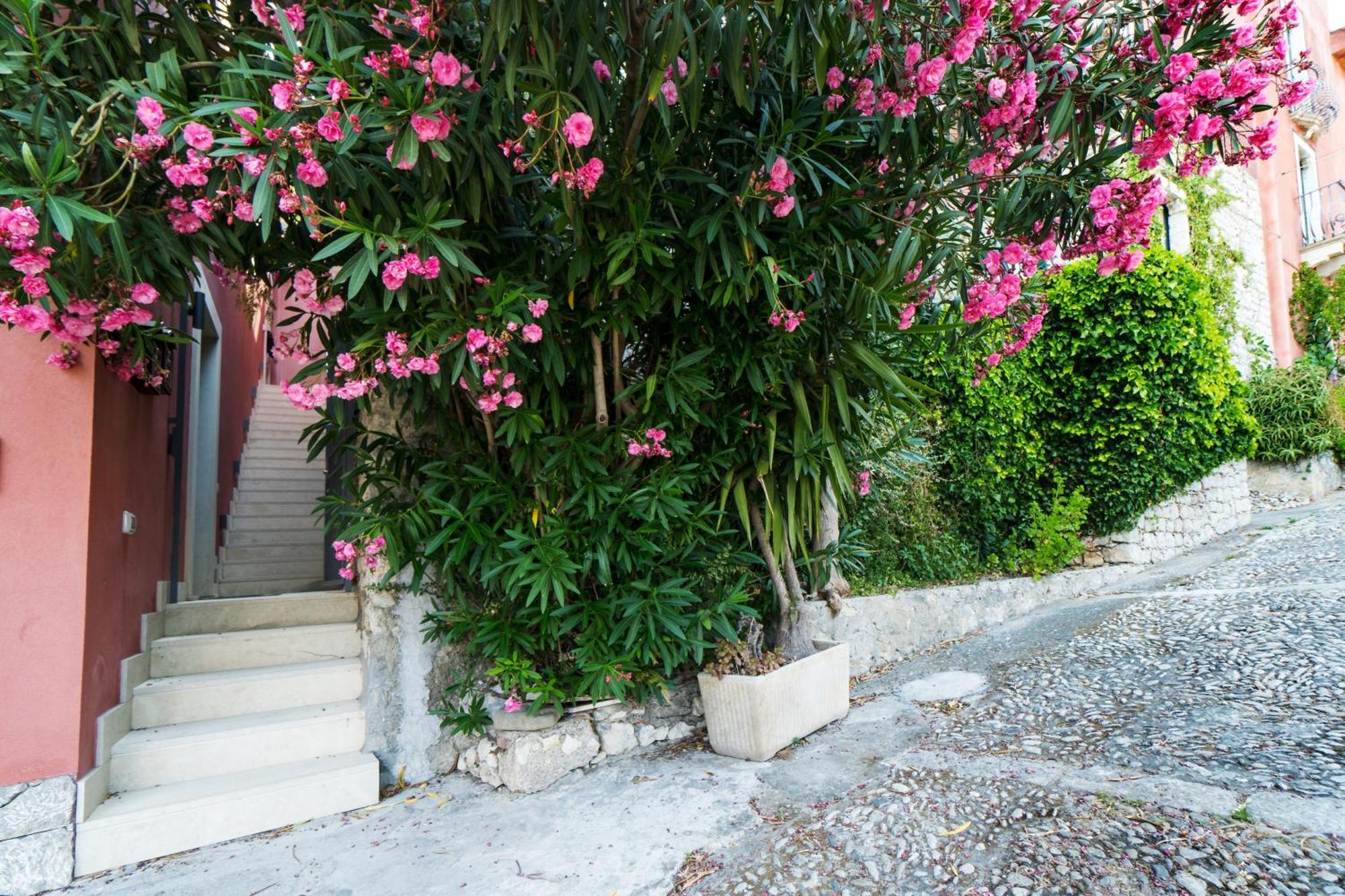 דירות טאורמינה The Charming House מראה חיצוני תמונה
